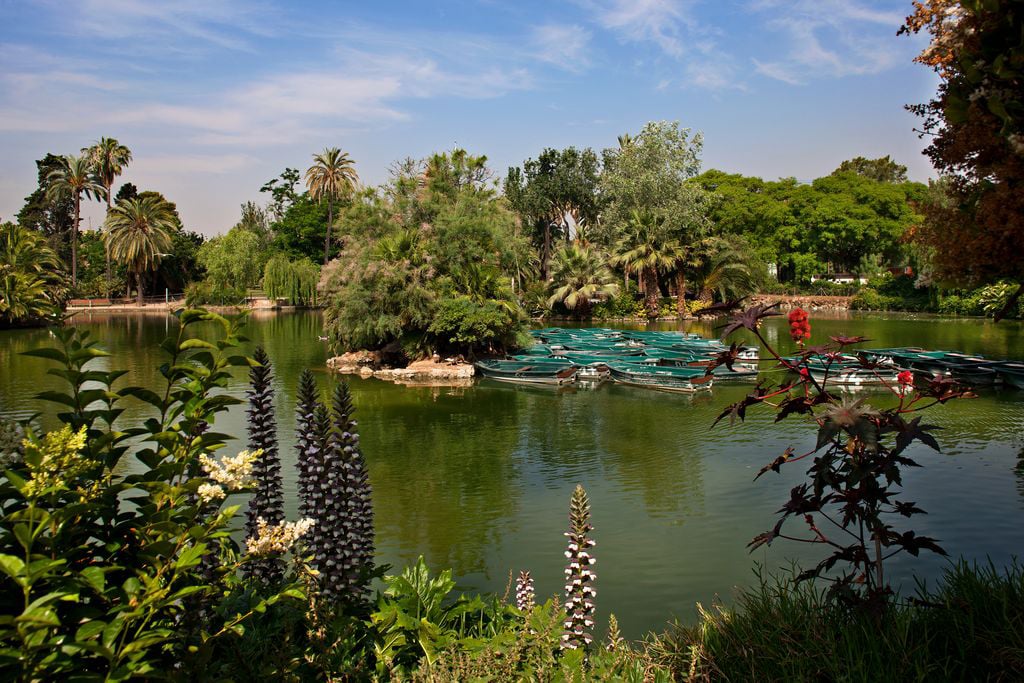 Scenic view of a lake in Ciutadella, adorned with boats and surrounded by trees