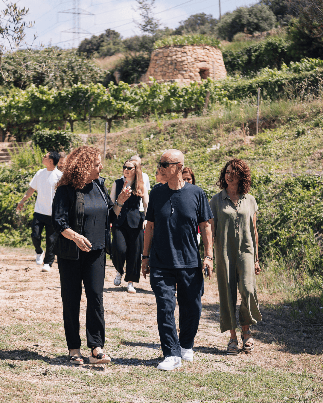 Barcelona wine experience with vineyard views in Penedès and Montserrat mountains