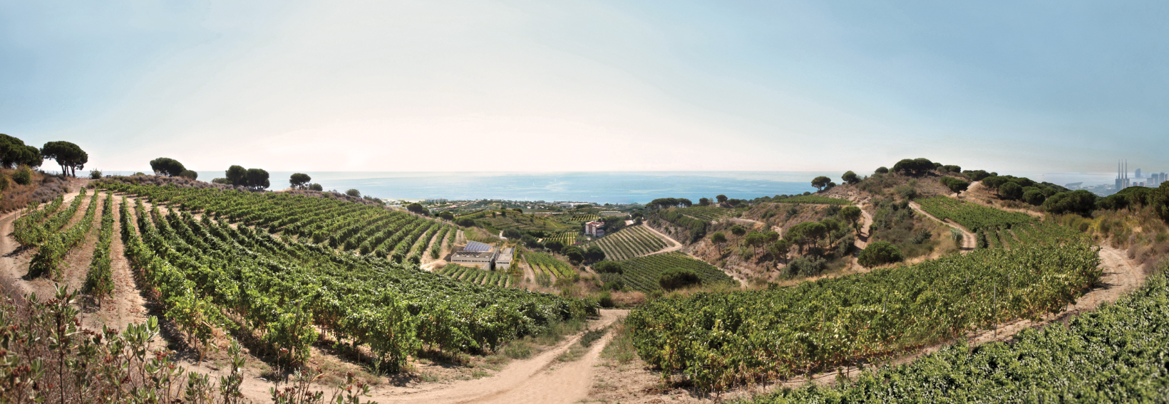 Art Laietà Winery Experience