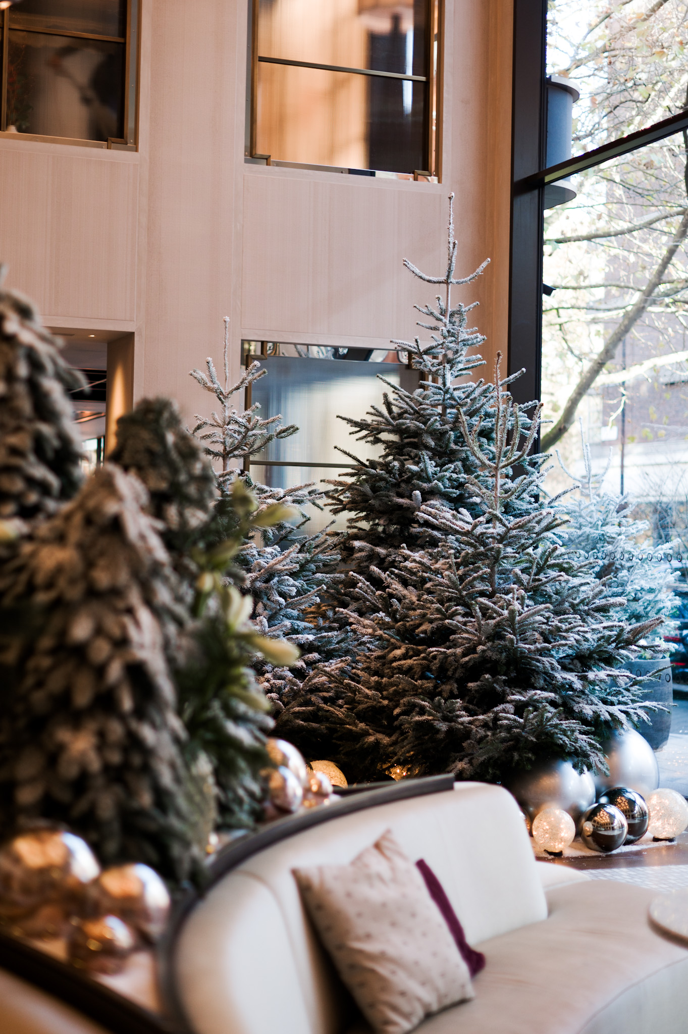 christmas tree in lobby