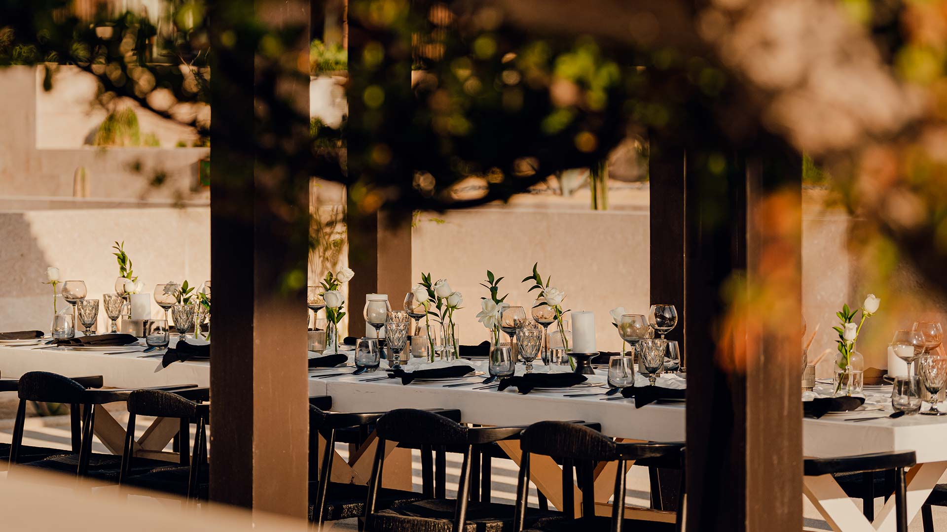 Upcoming Events Nobu Hotel Los Cabos