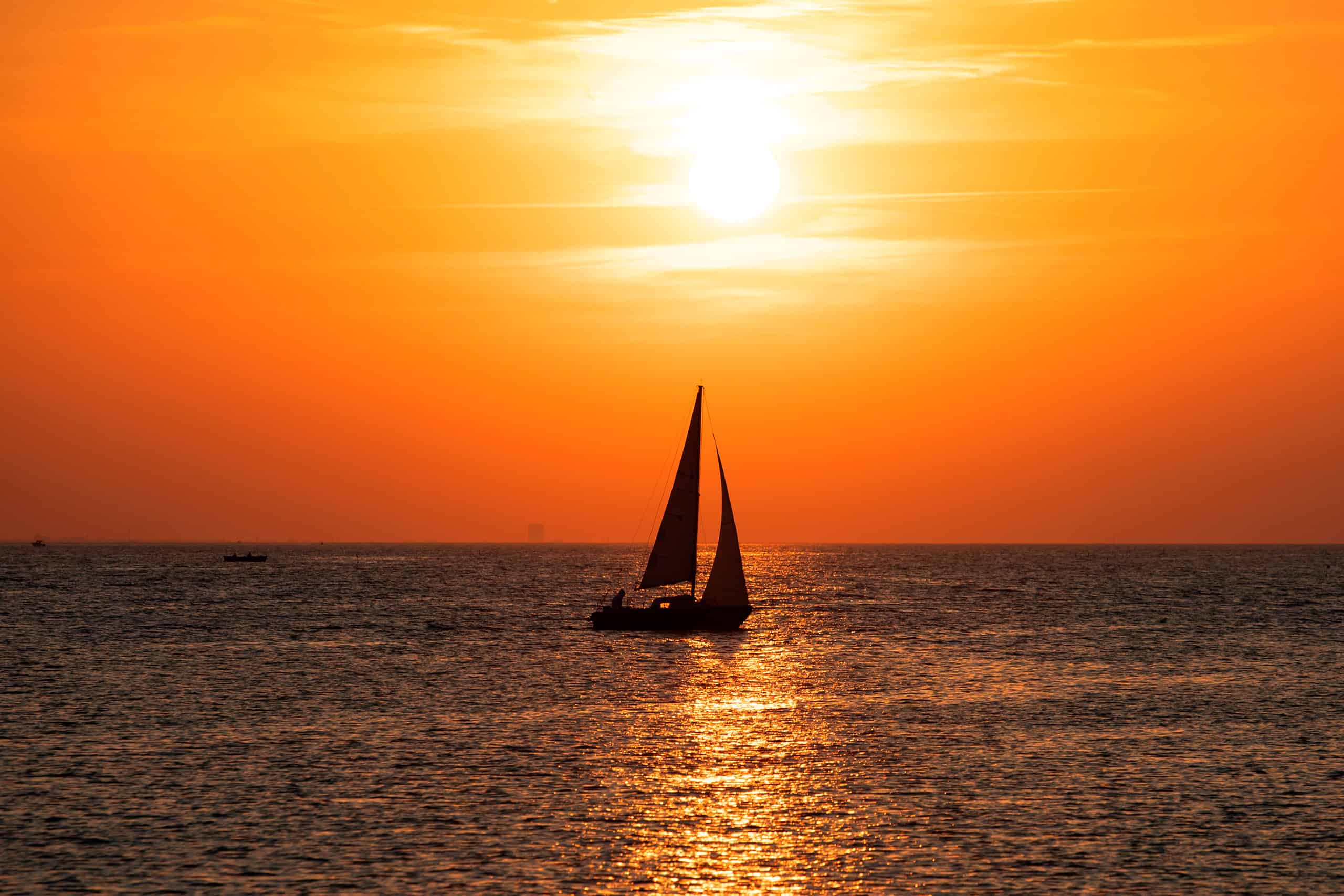 Sunset Sailing Nobu Cabos