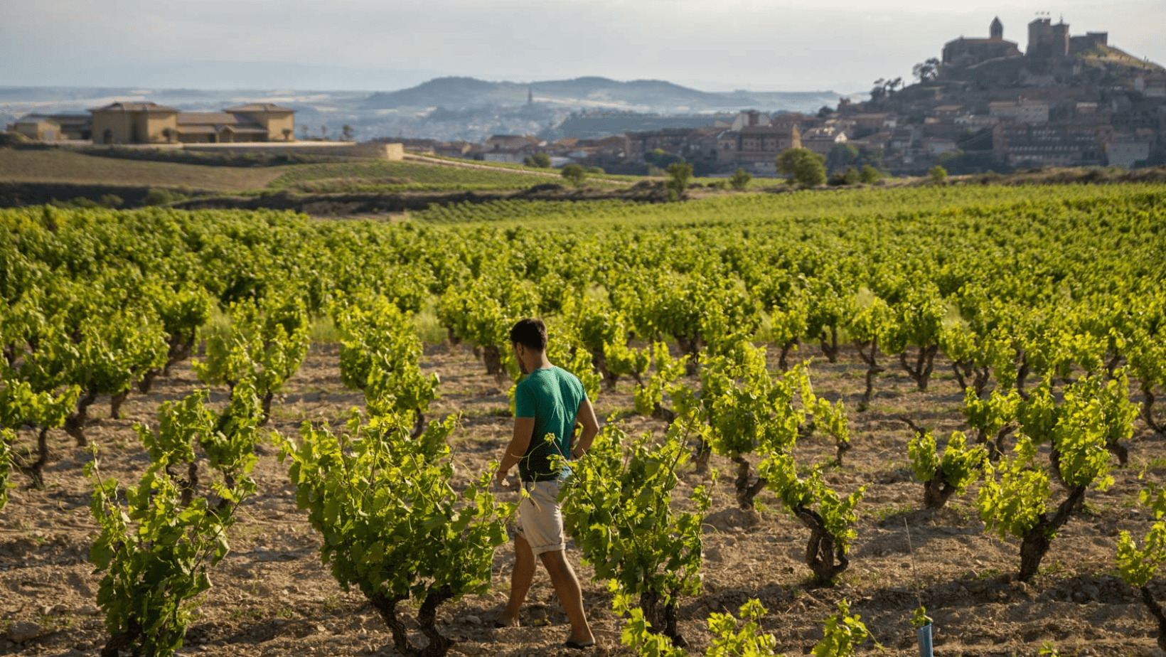 One Rioja Day A Day in La Rioja - Nobu Hotel San Sebastian